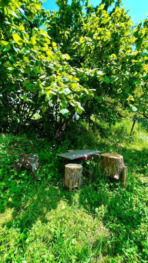 Mountain Top Getaway In Dilijan! Екстер'єр фото